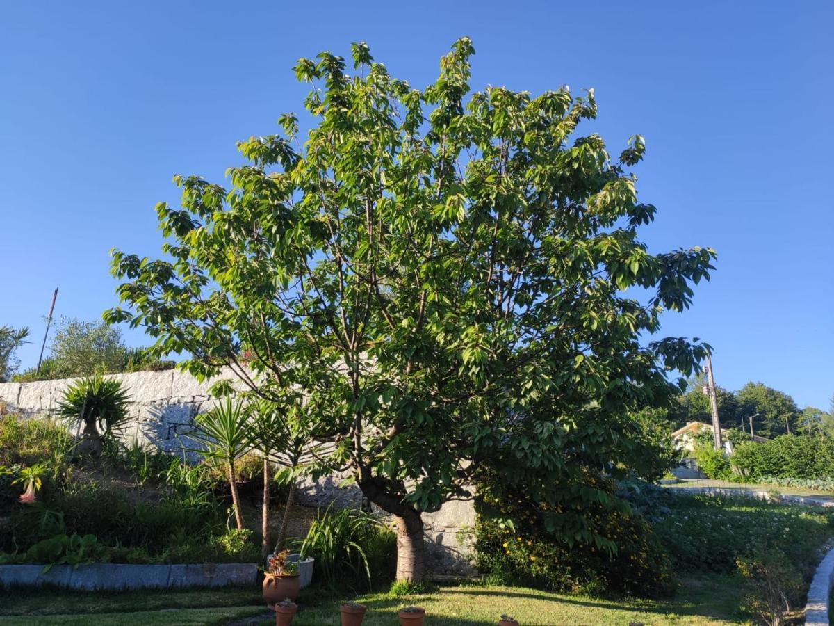 Propriedade Do Pires Guimarães Dış mekan fotoğraf