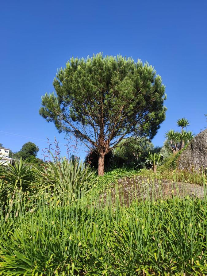 Propriedade Do Pires Guimarães Dış mekan fotoğraf